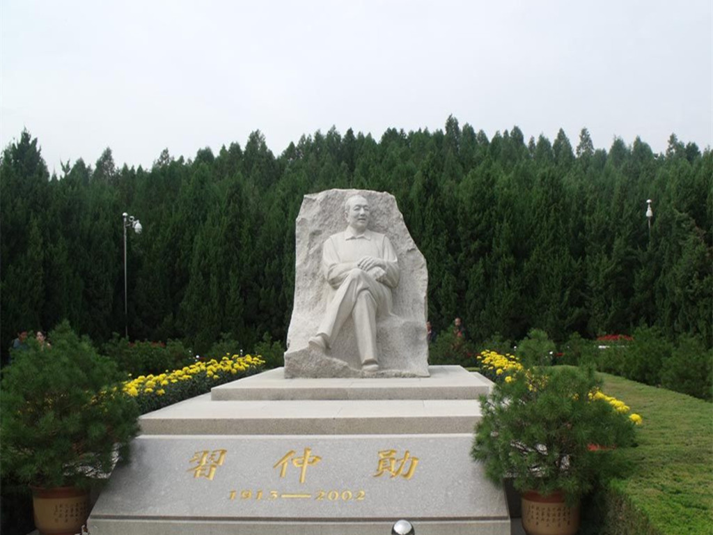 ???? ?????? ???????? ?? ?????? ??????