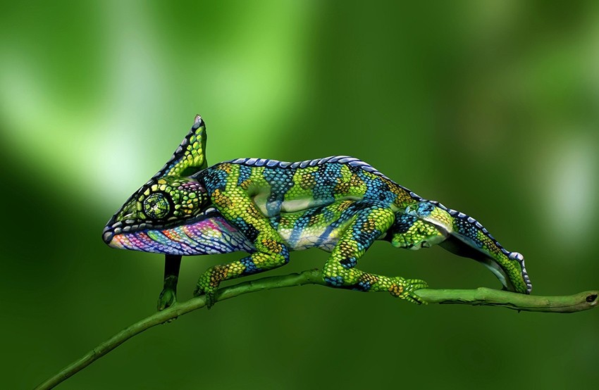 ?????? ??????? ??? ??? ??????? ?? ????? ???? ??????