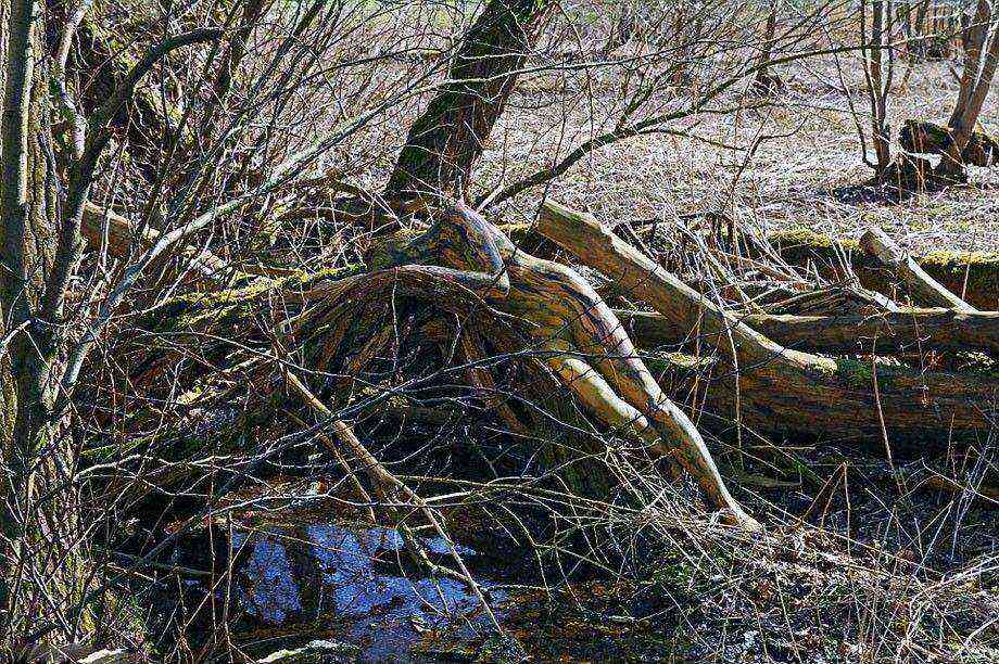 ?????? ??????? ??? ??? ??????? ?? ????? ???? ??????