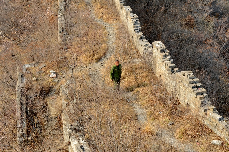 ????? ????? ??? ??? ????? ?????? 37 ???