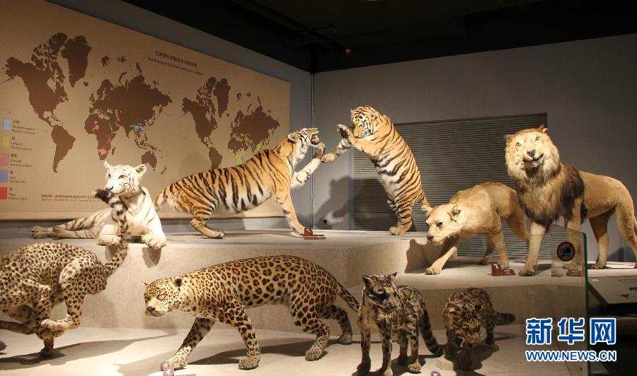 ?????? ??? ???? ????? ??? ????? ???? ?? ?????? ????????