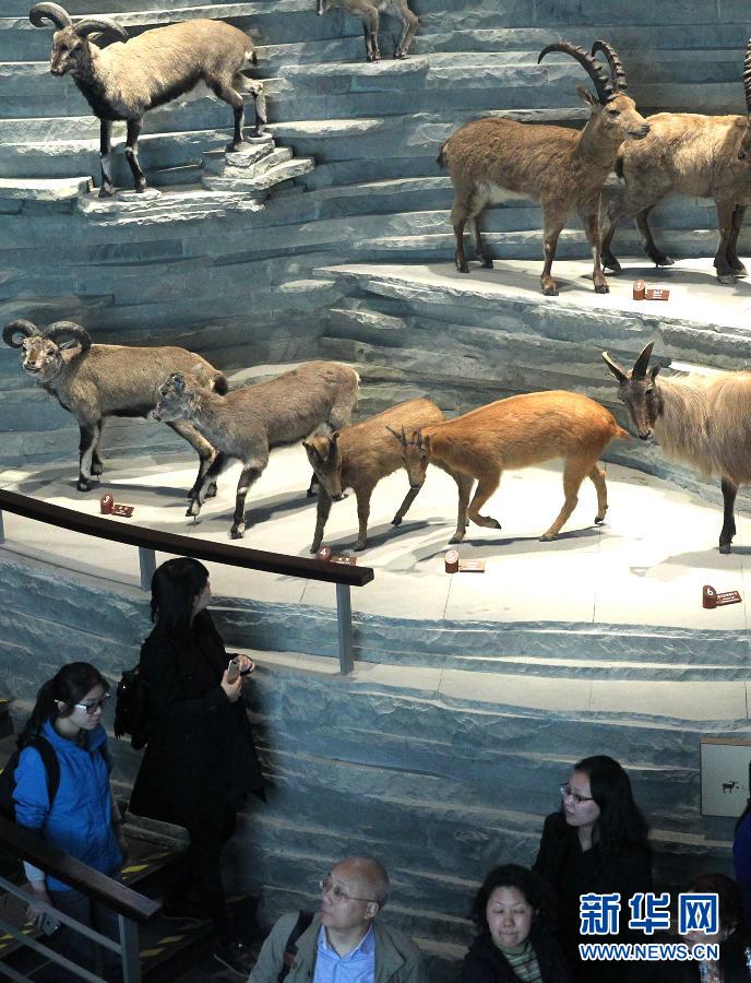 ?????? ??? ???? ????? ??? ????? ???? ?? ?????? ????????