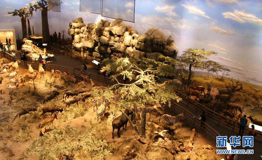 ?????? ??? ???? ????? ??? ????? ???? ?? ?????? ????????