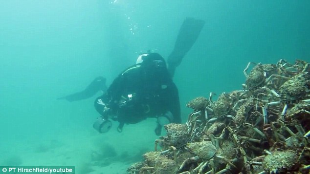  " ????? ???????? ????????" .. ?????? ???? ?? ????????