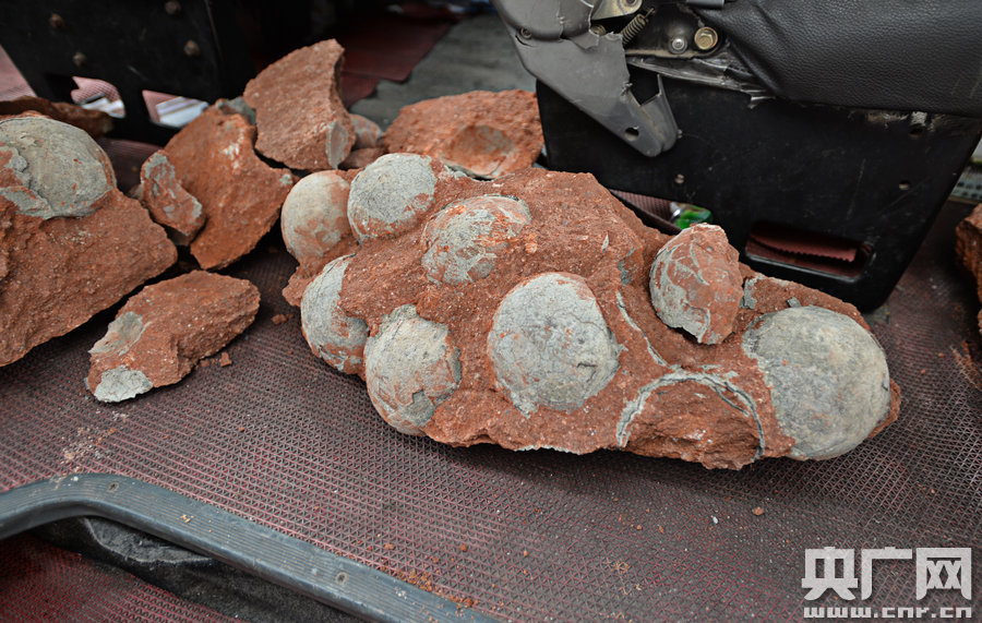 ?????? ???? ? 43 ???? ??????? ?????? ??? ????? ?????