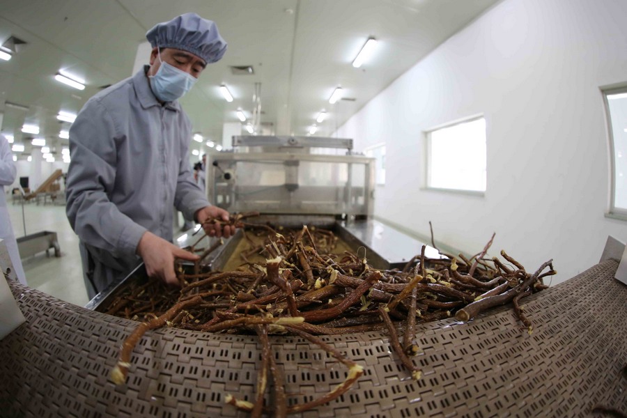 ?????? ???? ?? ????- ?????? ???? ?????? ????? ?? ????? ????