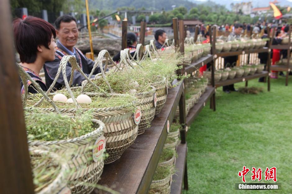 ??? 33 ??? ????  ??????? ????? ?? ?????? ????? ??????? ?"??? ???????"