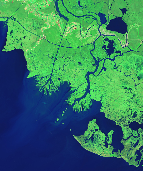 ????? ???? ???????? ???? ???? ???? ?????