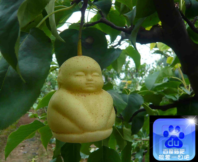 ????? ??? ??? ????? ?????? ???? ??????? ?? ?????