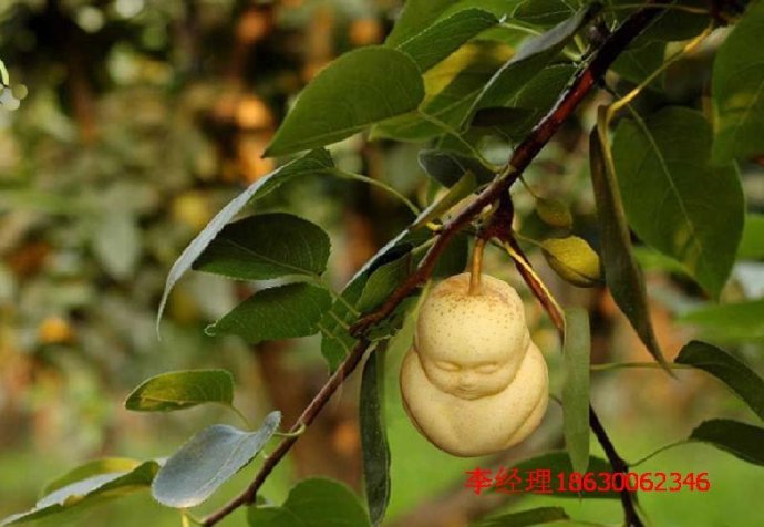 ????? ??? ??? ????? ?????? ???? ??????? ?? ?????