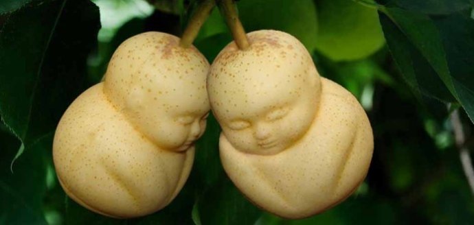 ????? ??? ??? ????? ?????? ???? ??????? ?? ?????