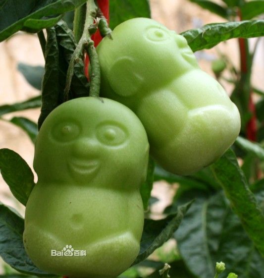 ????? ??? ??? ????? ?????? ???? ??????? ?? ?????