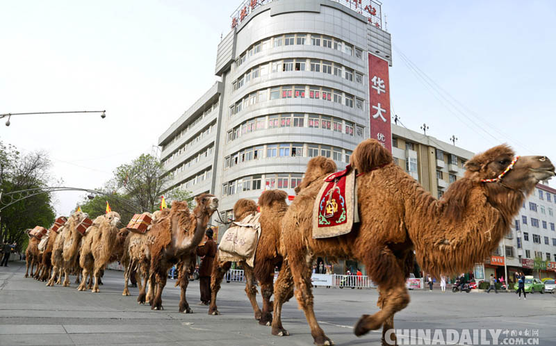 ????? ?????.. ????? ?? 136 ???  ???? ???  ???? ?????? ?? ????