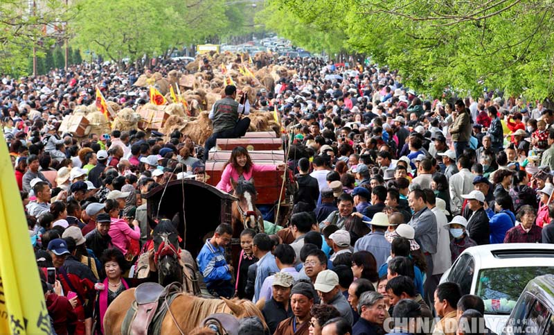 ????? ?????.. ????? ?? 136 ???  ???? ???  ???? ?????? ?? ????