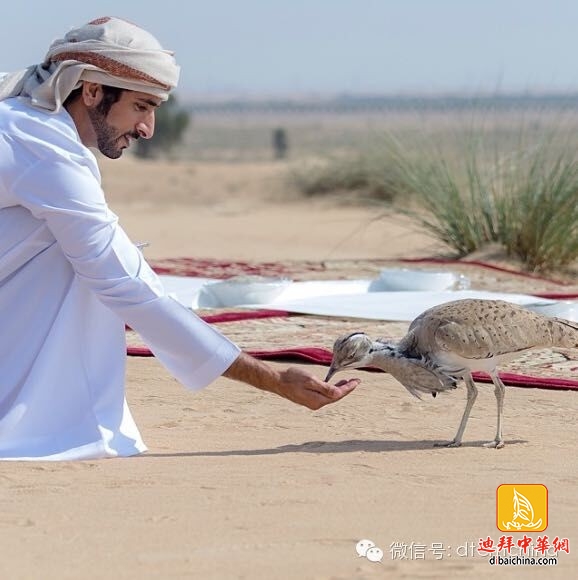 ???? ??? .. ????? ?? ?????? ??? ???? ?????