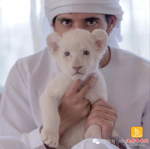 ???? ??? .. ????? ?? ?????? ??? ???? ?????