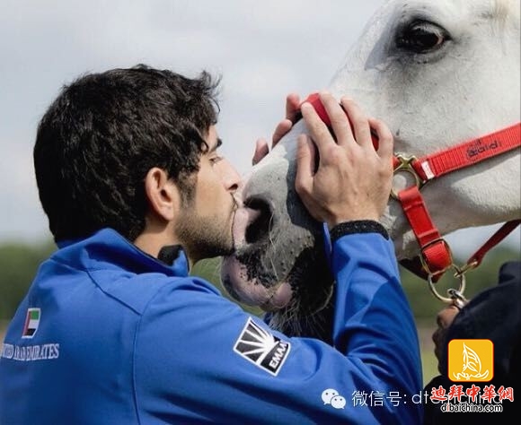 ???? ??? .. ????? ?? ?????? ??? ???? ?????