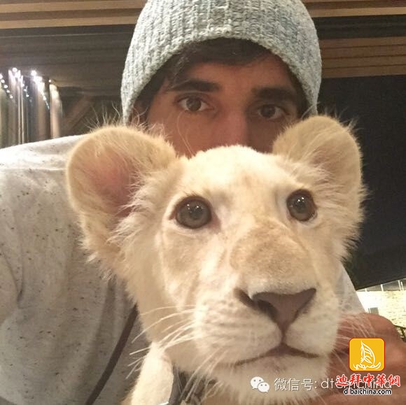 ???? ??? .. ????? ?? ?????? ??? ???? ?????