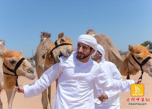 ???? ??? .. ????? ?? ?????? ??? ???? ?????