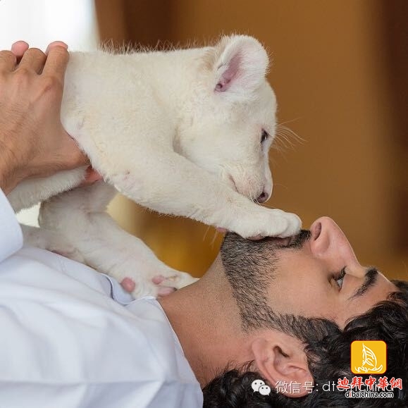 ???? ??? .. ????? ?? ?????? ??? ???? ?????