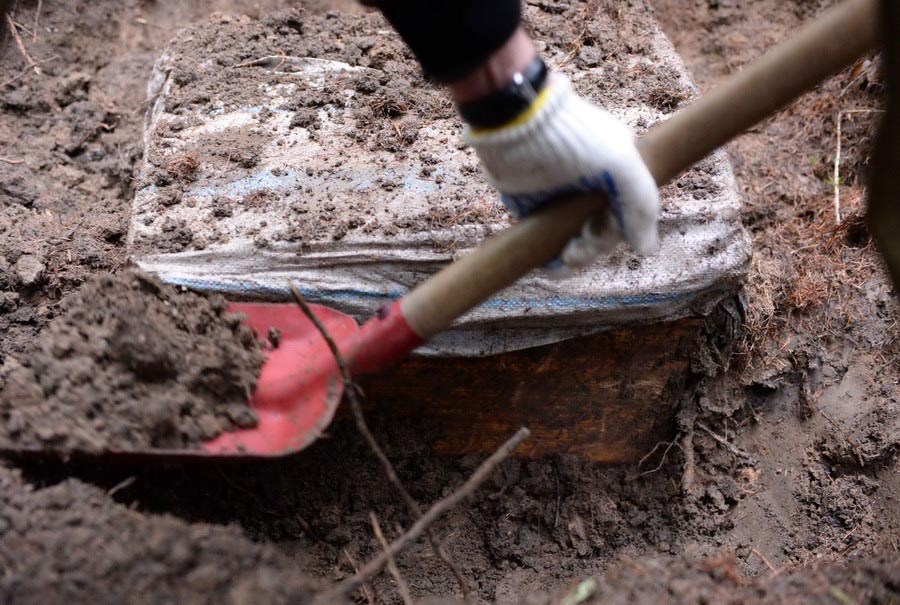 ????? ?????? ????? ????? ?? ???? ???? ??????? ???????? ???? ????? ???????? ???????