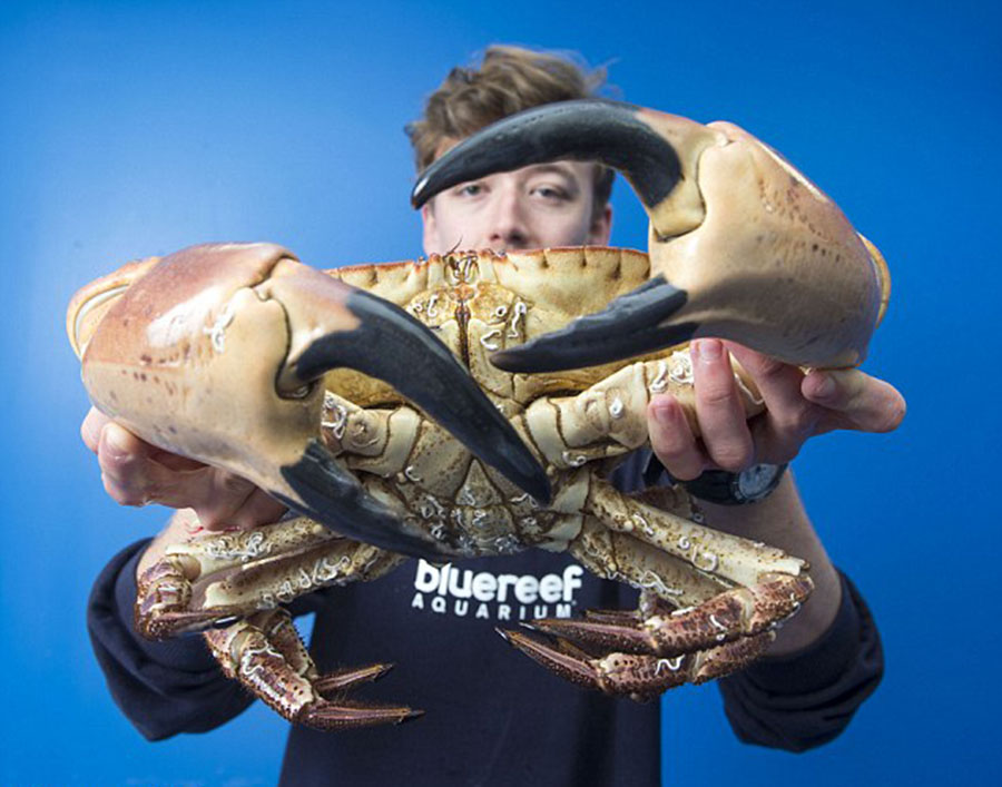 ????.. ???? ??????? ??????? ?? ??? ??????