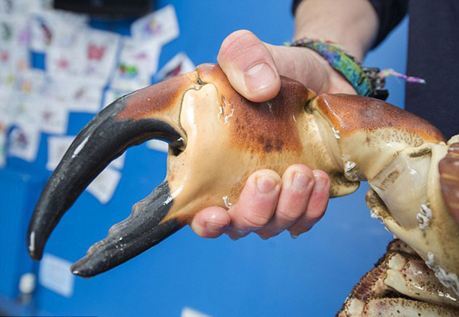 ????.. ???? ??????? ??????? ?? ??? ??????