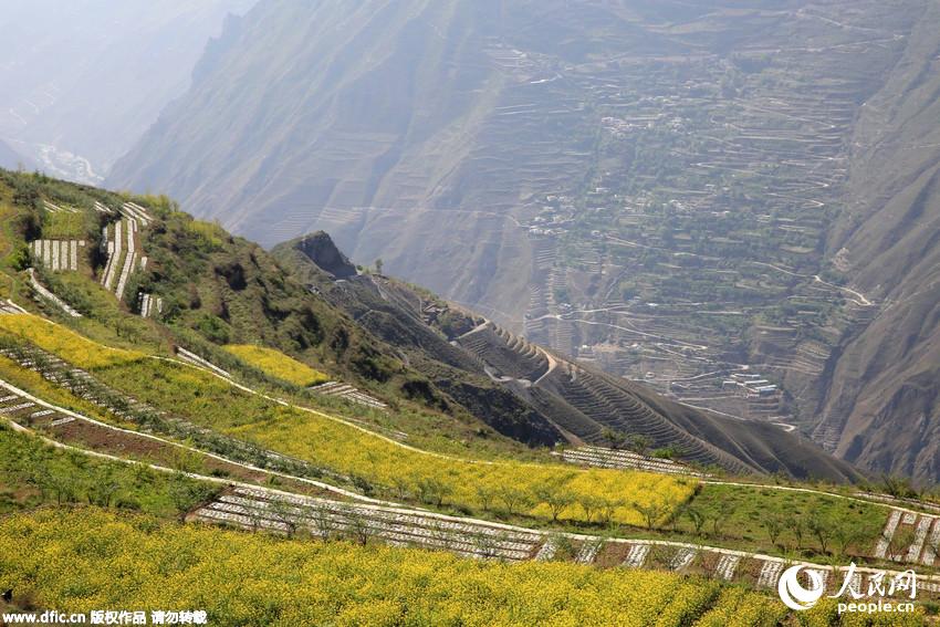 ?? ?????? ??????? ?????? ??????? ?????? .. ????? ???? ????? ????? ???????