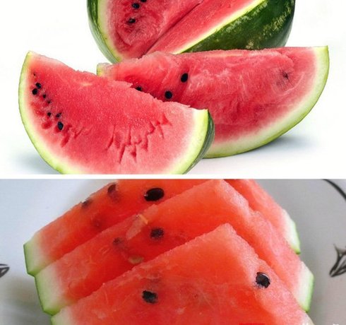 -	????? ??? ????? 40% ?? ????????? ???? ?? ??????? ??????????????? ?? ??? ?????? ??????? ?????? ???? ????? ??? ??? ?????? ????? ?? ???? ??? ??????? ??????? ????? ?????? ???????.????????? ???? ????? ???? ??????? ????? ??? ??????? ???????? ?? ?????.