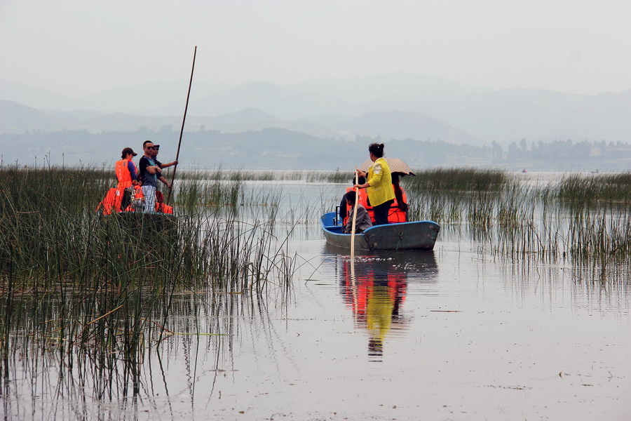 ?? ?????? ???????? ??? 19 ???? ??????????? ??? ?????? ?? ????? ?????? ?????? ????? ??? ??? ??????.