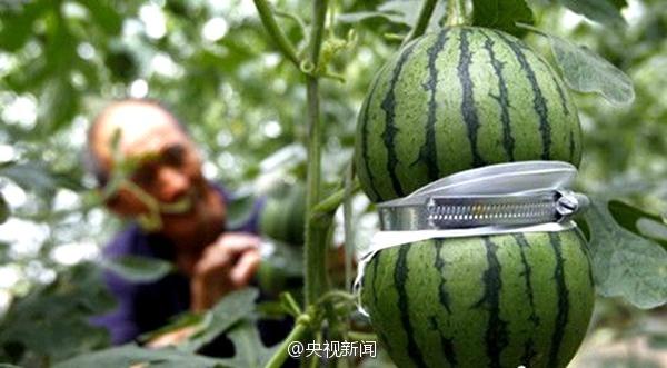 ???? ??? ??? ??? ????? ???? ?? ???????