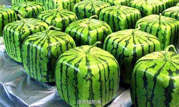 ???? ??? ??? ??? ????? ???? ?? ???????