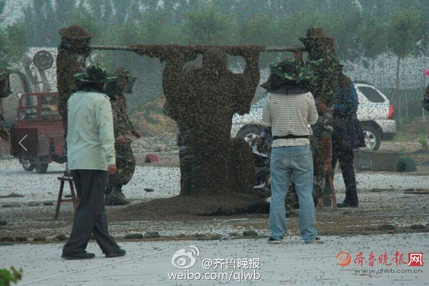 "??? ????? ??????" ???? ???? ?????? ?????? 