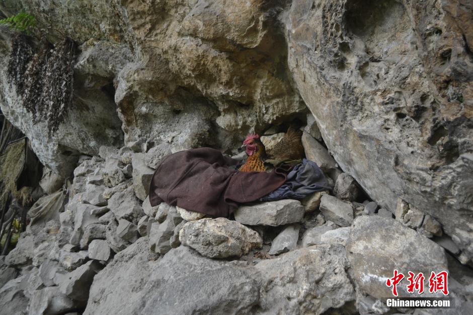 ??? ??????: ????? ????? ???? ?? ????? ???? ??? ???