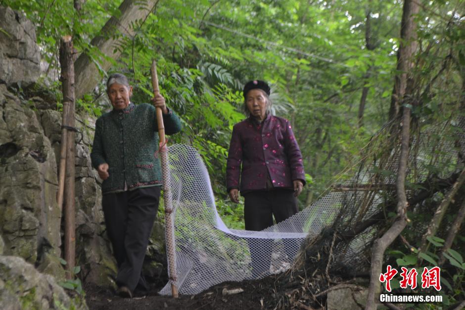 ??? ??????: ????? ????? ???? ?? ????? ???? ??? ???