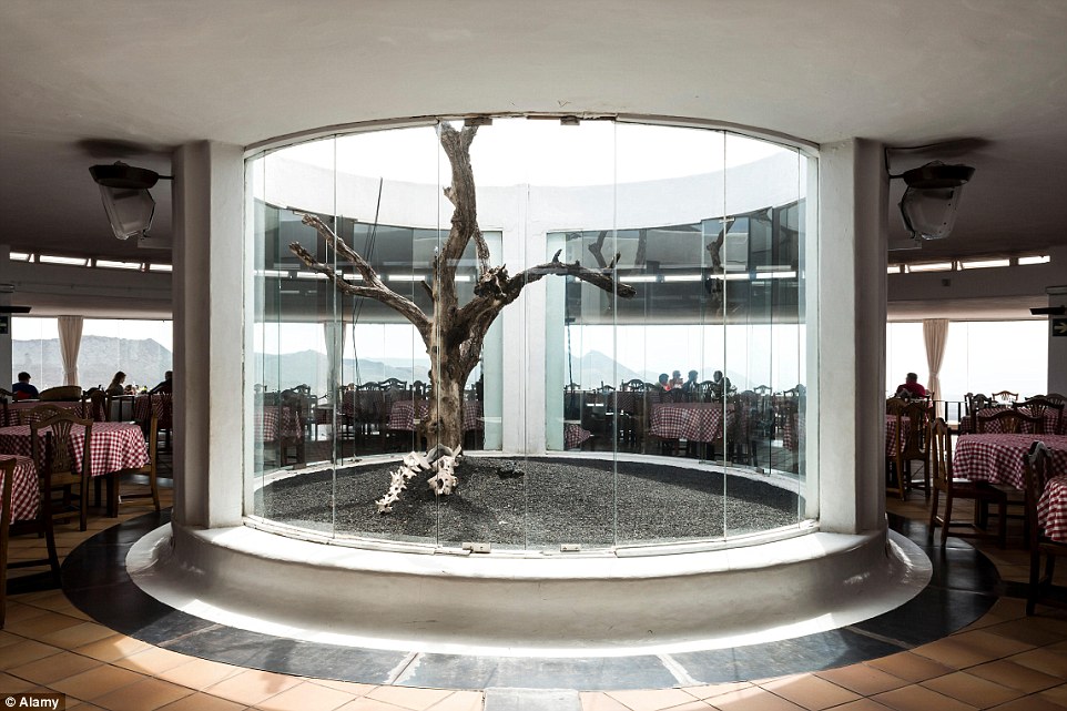 "???? ???????" ????????  ???? ?????? ??? ?????