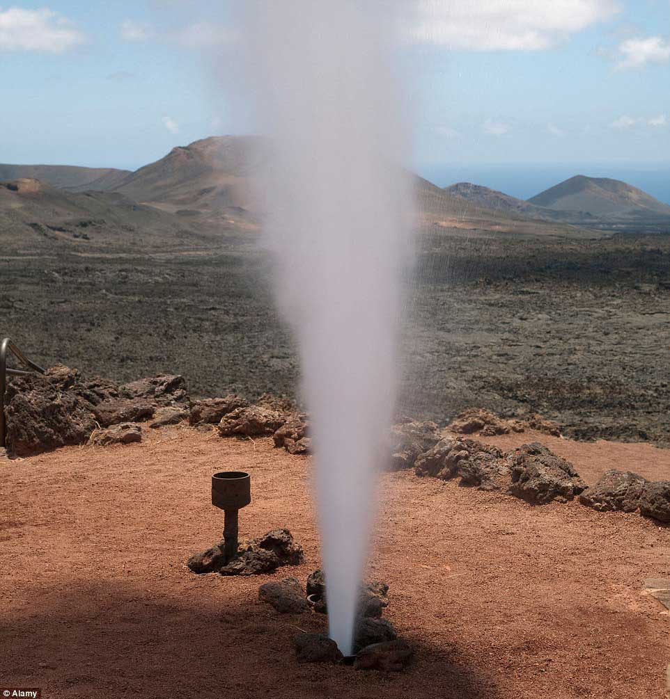 "???? ???????" ????????  ???? ?????? ??? ?????