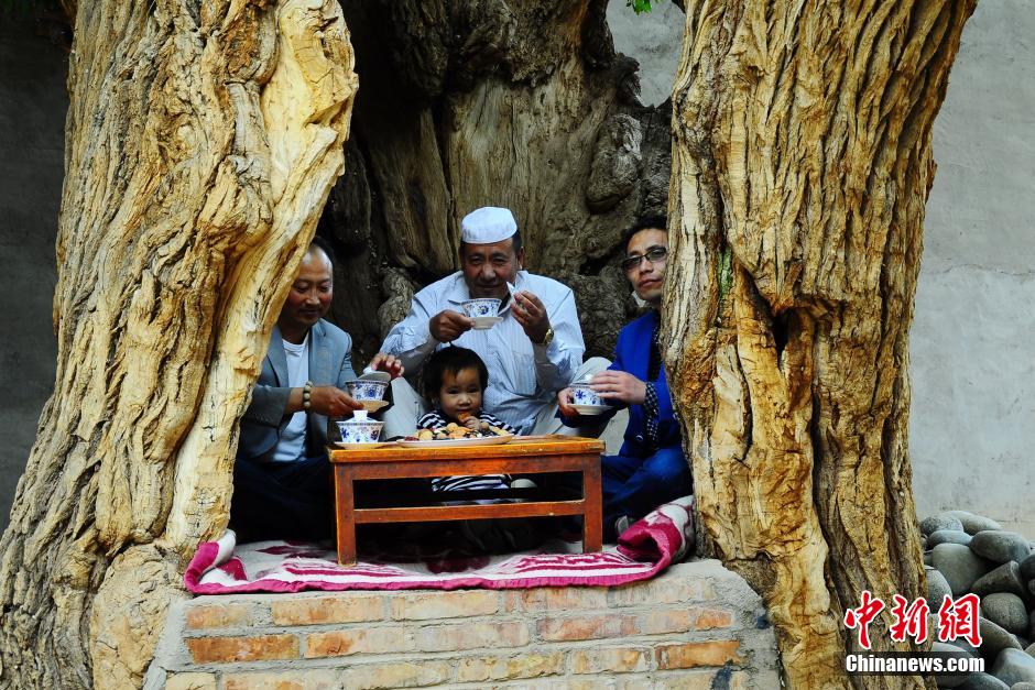 ??? ????? ???? ???? ????? ????? 800 ???