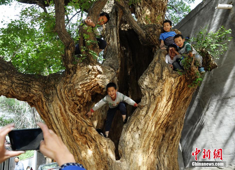 ??? ????? ???? ???? ????? ????? 800 ???