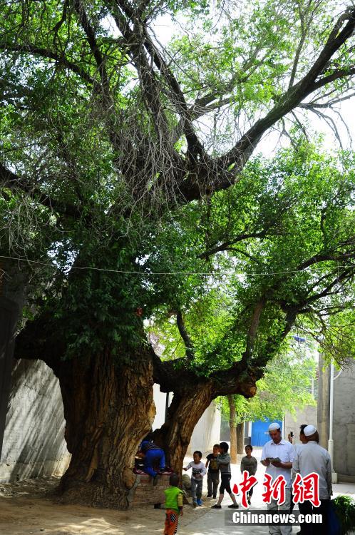 ??? ????? ???? ???? ????? ????? 800 ???