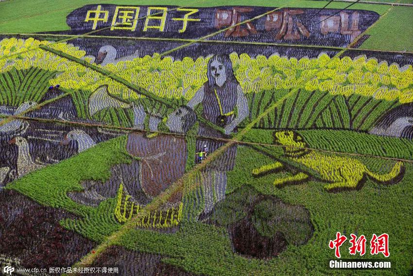 ????? ???? ?????? ??????? ???? ?? ???? ????? ?? ?????