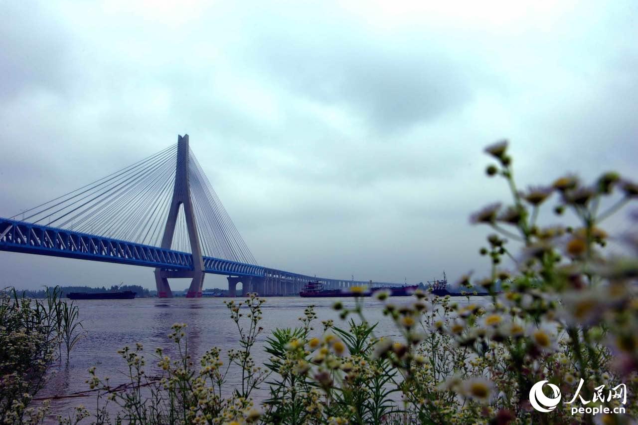 ??? ???? ?? ??? ?????? ????? ?????? ?? ?????