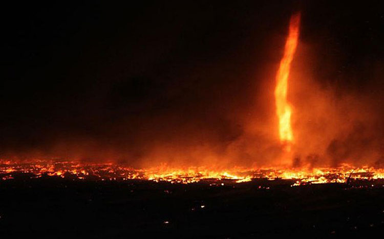 "????? ????" ???? ??????? 20 ???? ?? ?????? ?????????