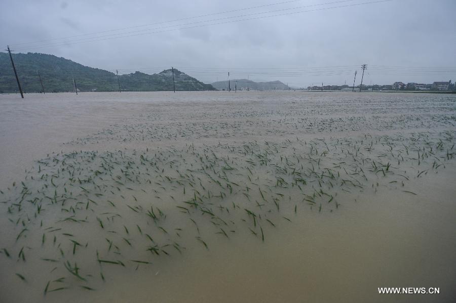 ??????? ????-??? ??? ???????? ???? ?????