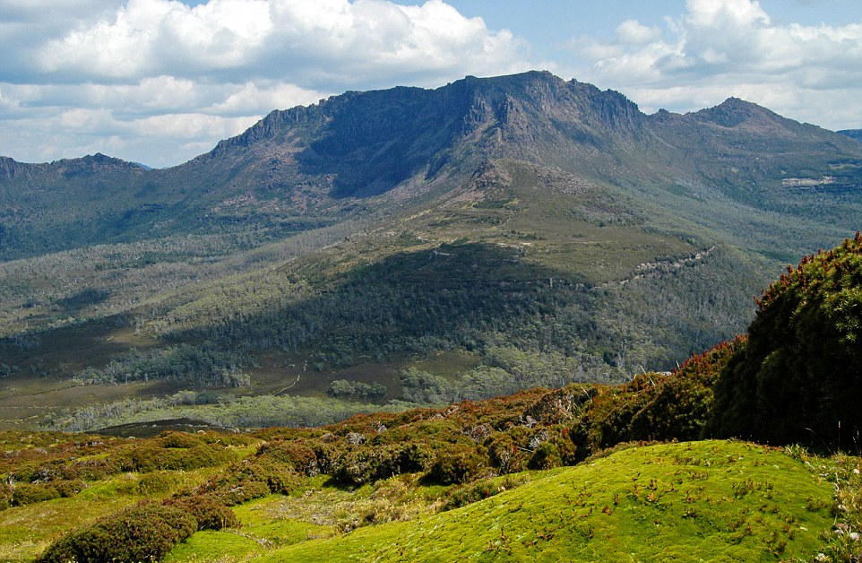 ?????? ??????? ??????? ?????????