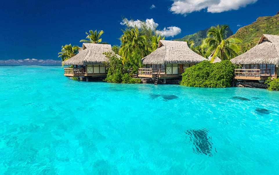 ?????? ??????? ????????? ???????? ??????? ?? ?????? ?????? 