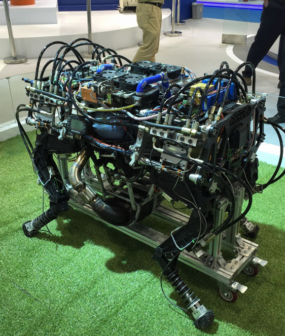 ????? ???? ?? ??????? ??????? "????? ??????" ??? ???? ????