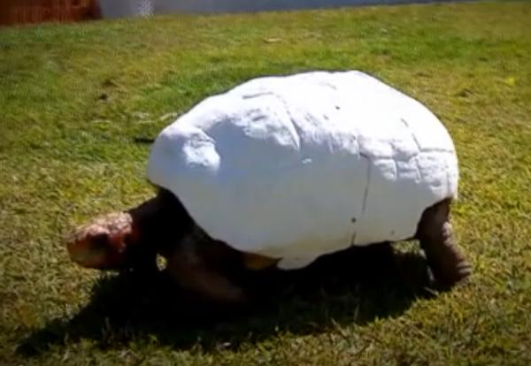 ????????? ??????? ?????? ??????? ????? ?????? ?? ?????? ??? ?????? ???????