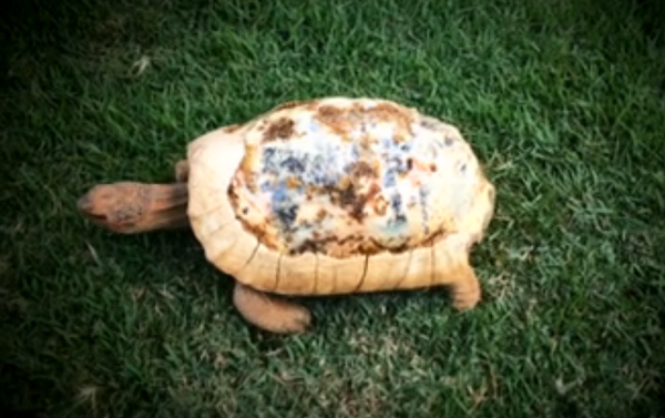 ????????? ??????? ?????? ??????? ????? ?????? ?? ?????? ??? ?????? ???????