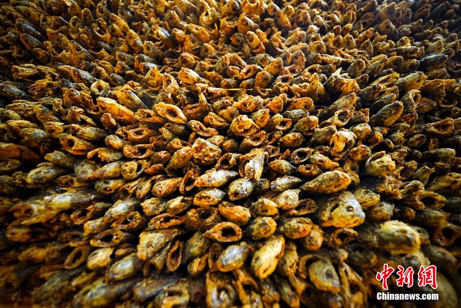 ???? ?? ??????? ??????? ?? ???? ???????? ???????